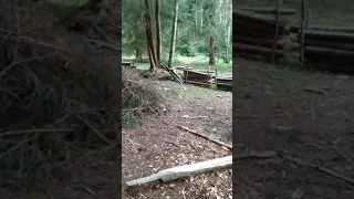 mysterious creature scream from forest