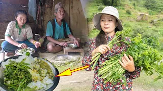 Green Fiddlehead Picking & Cooking Eating Village style || Nepali #Niguro Recipe | Village life vlog