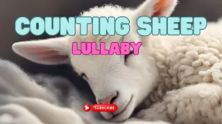Counting sheep lullaby