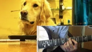 Golden Loves Guitar - How to Play [Tutorial]