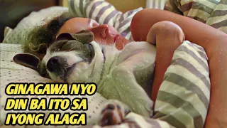 Eto Pala Ang Mangyayari Kapag Hinahayaan Mong Matulog Sa Iyong Kama Ang Iyong Aso Sa Bawat Gabi