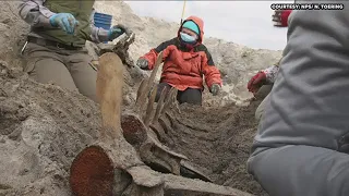 RAW: A whale of a find on the North Carolina coast!