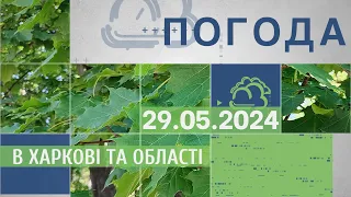 Прогноз погоди в Харкові та Харківській області на 29 травня