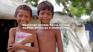 Video oficial Panorama de la Seguridad Alimentaria y Nutricional en América Latina y el Caribe 2020