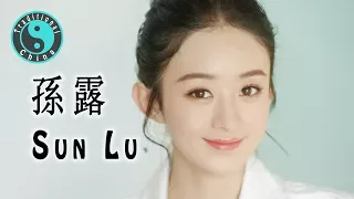 Sun Lu 孫露 • 遺憾 • Beautiful Chinese Music [Traditional China]