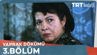 Yaprak Dökümü 3. Bölüm