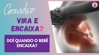 QUANDO O BEBÊ VIRA E ENCAIXA PARA O NASCIMENTO? | Boa Gravidez Patrícia Moreira