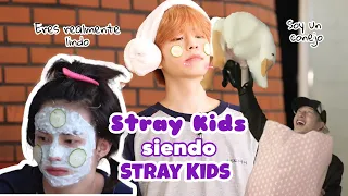 STRAY KIDS SIENDO STRAY KIDS