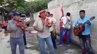 Música de cuerda, Que ya te olvidado aguilitas del naranjo🎊🎊 🎻