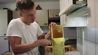Скільки меду з соняху? Чим обробив бджіл після відкачки? Останні роботи на кінець сезону.