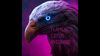 FLAMENCO EXITOS BYDJNICO