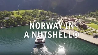 Norway in a nutshell ® - popular day trip from Bergen!