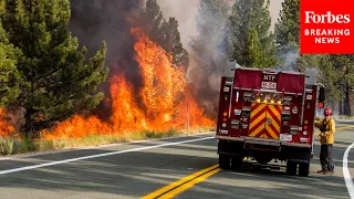 California GOP Congressman Says Poor Forest Management Is Causing Surge Of Fires In The West