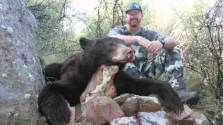 Arizona Bear: Hunting the Dark Ghost