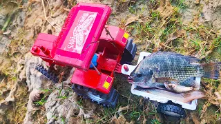 Swaraj Tractor Saving Fish Life | Tata Ace Truck Jumping Into The River | Shells Load | Bhoom Toys