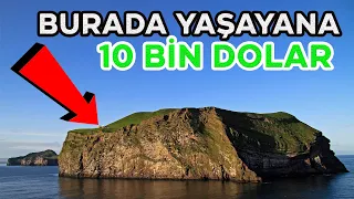 Bu Adada Yaşayana 10 Bin Dolar Ödül! Opera Yeni Yarışmasında Dev Ödül 💲