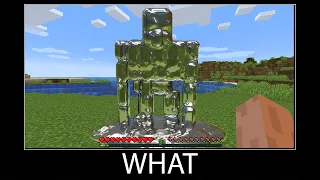 Minecraft wait what meme part 39 Realistic Golem Transforming