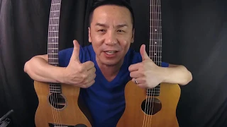 BABY TAYLOR VS LITTLE MARTIN-COMPARISON GUITAR REVIEW IN SINGAPORE