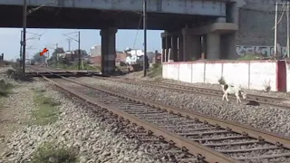 Live Accident Train Hits Goat At High Speed