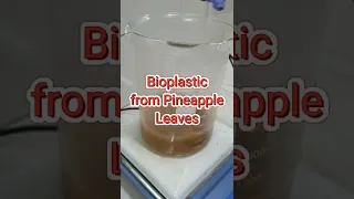 Bioplastic from Pineapple Leaves