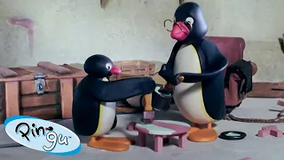 Pingu Finishes the Job 🐧 | Pingu - Official Channel | Cartoons For Kids