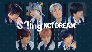 [ENG SUB] NCT Dream - 7Dream MBTI Counselling Centre : Melon Station SMing Highlight