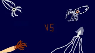 DC2BA: Sharpfin squid vs Bigfin squid vs Glass squid vs Joubin squid