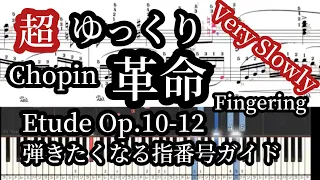 革命のエチュード 超ゆっくり/修正版 ドレミ付楽譜とガイドする指番号 Chopin Etude Op.10-12 Very Slow Piano Tutorial