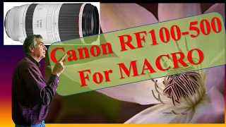 CANON RF 100-500mm | Flower MACRO photos with this GREAT Canon LENS