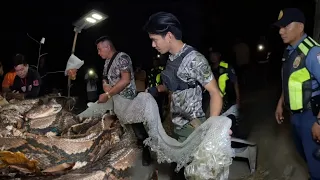 SAWA SA PANGASINAN HULE KAY COBRA PRINCE