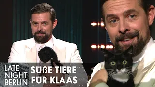 Süße Hunde und Katzen bringen Klaas komplett aus dem Konzept | Late Night Berlin