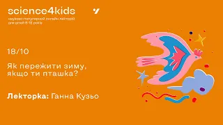 Чим годувати пташок взимку? Хто з птахів лишається зимувати в Україні? Орнітологиня Ганна Кузьо