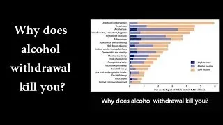 Why does alcohol withdrawal kill you?