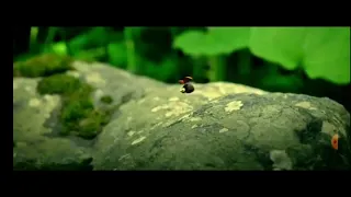 Phim Thung lũng kiến Full HD   Minuscule  Valley of the Lost Ants2013