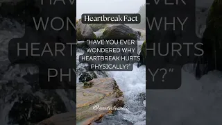 Why Heartbreak Hurts Physically #shorts