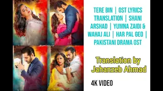 Tere Bin Ost - Shani Arshad Lyrical (Video) With Translation - Yumna & Wahaj  Pakistani Drama OST