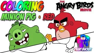 Angry Birds Movie New Coloring Book - Red and Minion Pig Coloring Pages for Kids