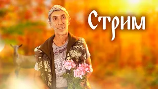 Стрим с Афанасием 28 октября часть 1