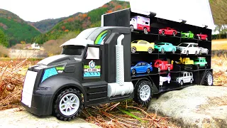 28 types Tomica and Hide and Seek ☆ Big black truck