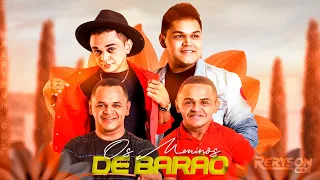 OS MENINOS DE BARÃO MUSICAS NOVAS PROMOCIONAL 2024 - Reryson CDs