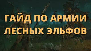 Гайд по ушастым древолюбам Total War Warhammer.