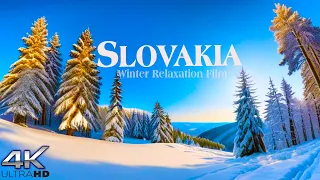 Slovakia 4K - Winter Relaxation Film - Relaxing Music And Stunning Nature Scenes (4K Videos)