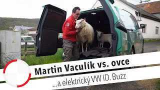 Martin Vaculík, elektrický VW ID. Buzz a živé ovečky! 🐑🔋