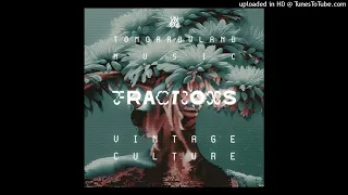 Vintage Culture - Fractions (Extended Mix) [Tomorrowland Music]