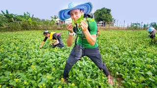 Isan & Lao Food!! Mekong River HARVEST & EAT 🥬 Nakhon Phanom, Thailand