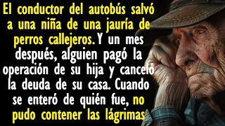 El conductor del autobús salvó a una niña de una jauría de perros callejeros. Y un mes después...