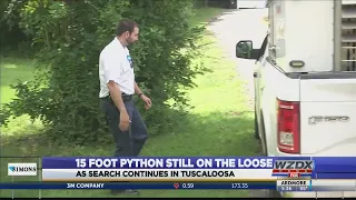 15ft python still loose in Tuscaloosa