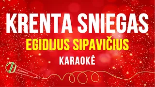 Egidijus Sipavičius - Krenta Sniegas (Karaoke)