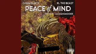 Peace Of Mind (feat. XL the Beast & CLOAQxDAGGER)