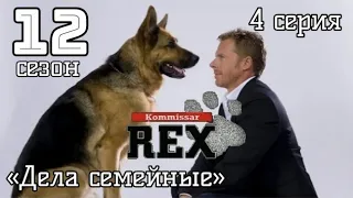 Комиссар Рекс, 12 сезон, 4 серия «Дела семейные»